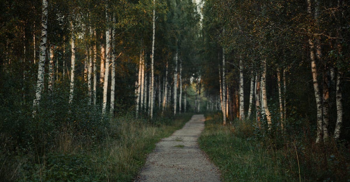 หวยออนไลน์ วิธีเลือกประเภทหวยให้เหมาะกับตารางเวลาของคุณ