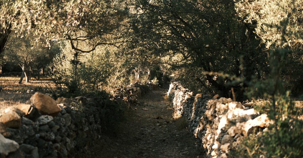 ฝากถอนเงินเว็บหวยออนไลน์ วิธีที่เร็วและปลอดภัยที่สุด 2569