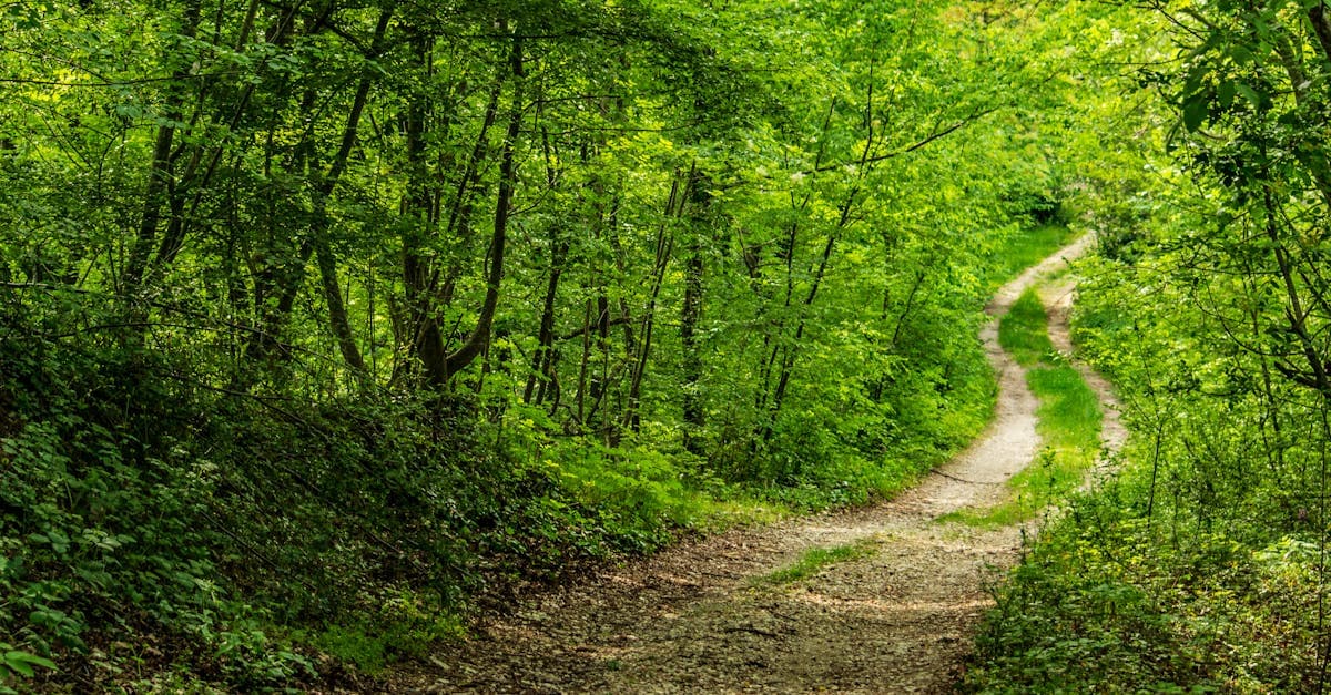 ถ่ายทอดสดหวยลาวพัฒนาวันนี้ ดูผลสด ตารางออกรางวัล | Fundacion Suma แทงหวย