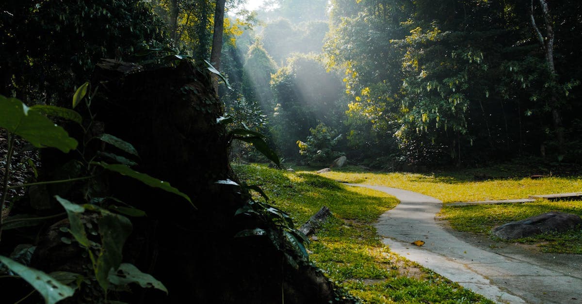 กลยุทธ์หวยออนไลน์ 5 วิธีที่นักเล่นมืออาชีพใช้ในปี 2569