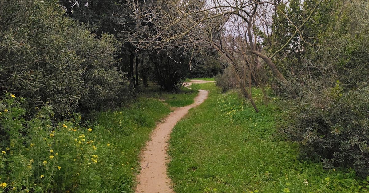 เทคนิคบริหารเงินเล่นหวย ไม่เจ๊ง เล่นได้นาน | Fundacion Suma แทงหวย