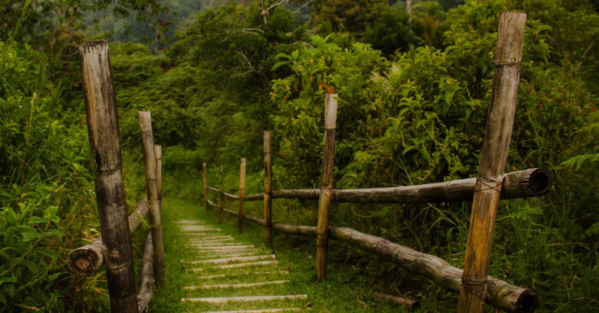 สถิติหวยลาวย้อนหลัง 2568-2569 วิเคราะห์แนวโน้ม | Fundacion Suma แทงหวย