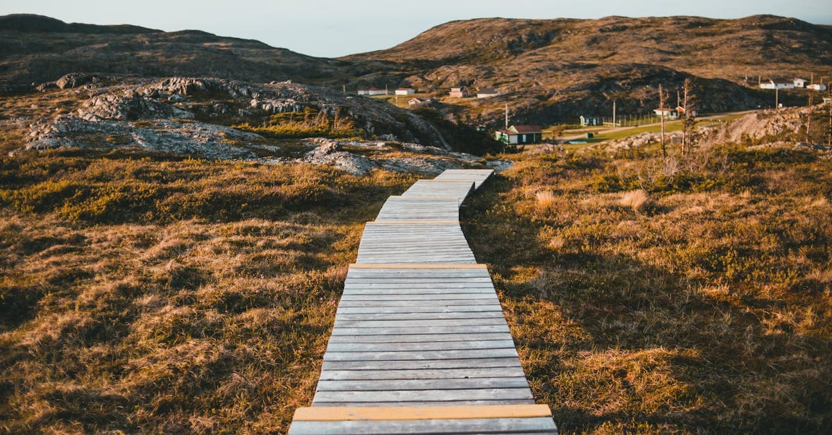 วิธีฝาก-ถอนเว็บหวยออนไลน์ 2569 PromptPay ธนาคาร | Fundacion Suma